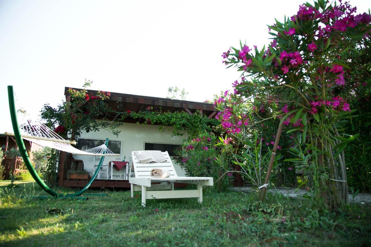 Hotel Cunda Fora Glamping Ayvalı Exteriér fotografie