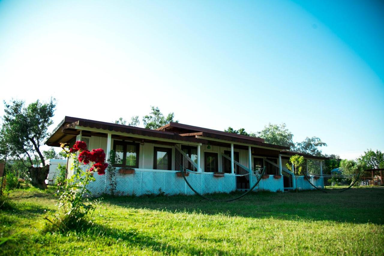 Hotel Cunda Fora Glamping Ayvalı Exteriér fotografie