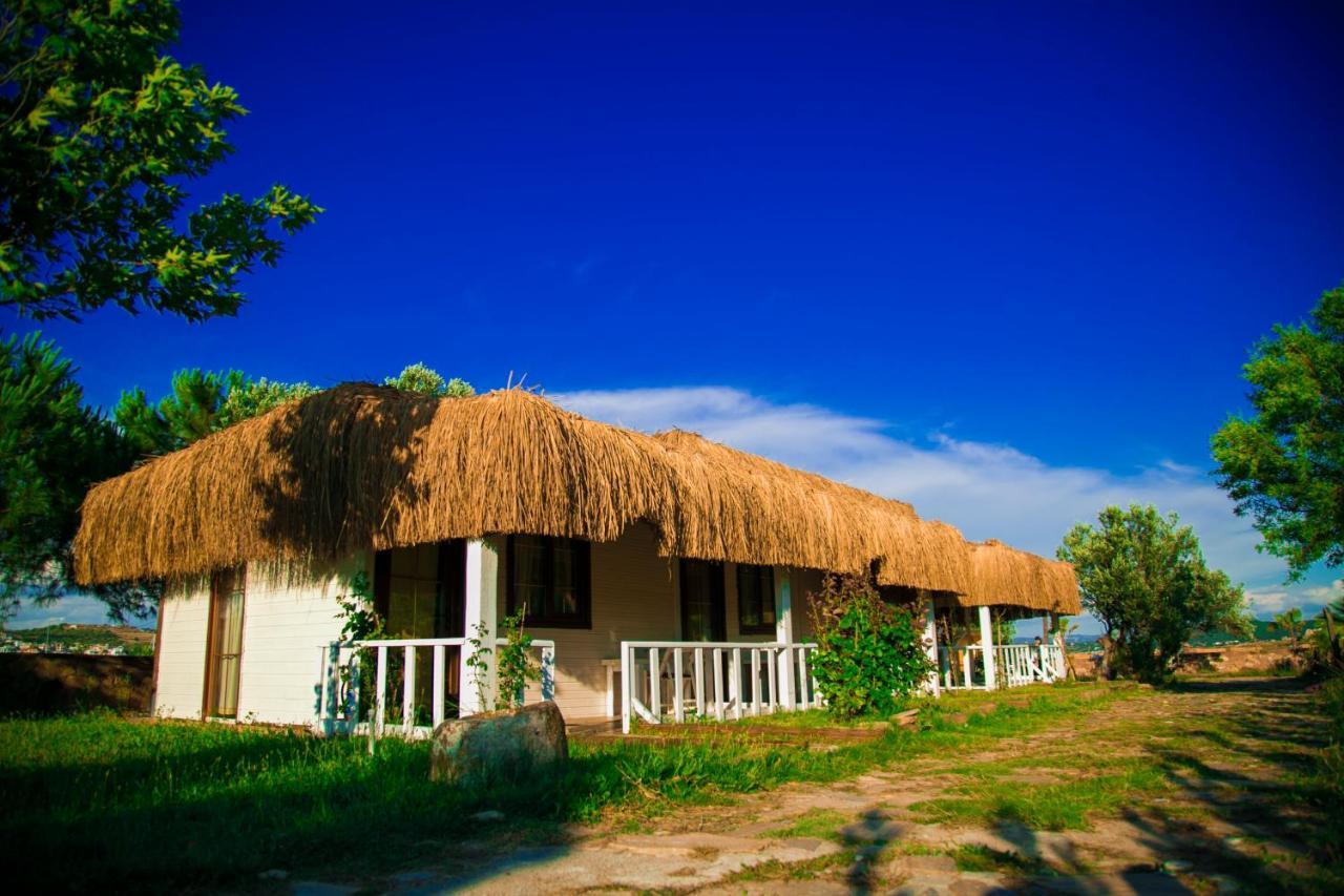 Hotel Cunda Fora Glamping Ayvalı Exteriér fotografie