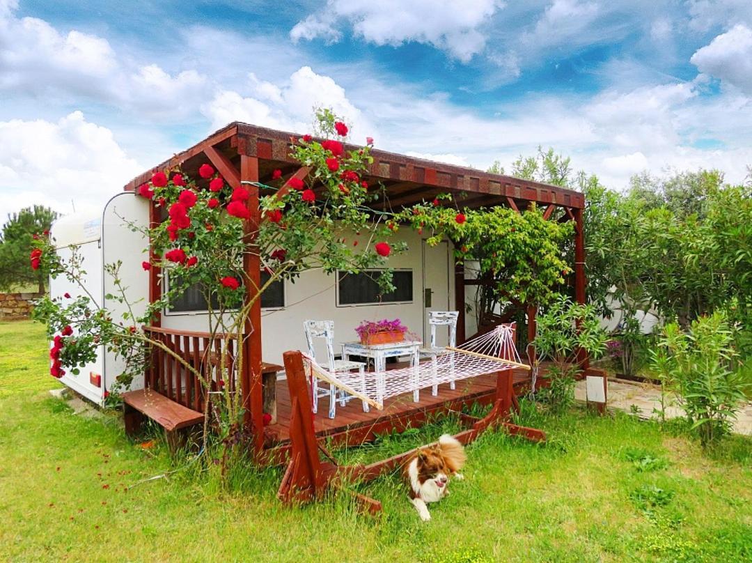 Hotel Cunda Fora Glamping Ayvalı Exteriér fotografie